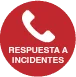 ciberseguridad